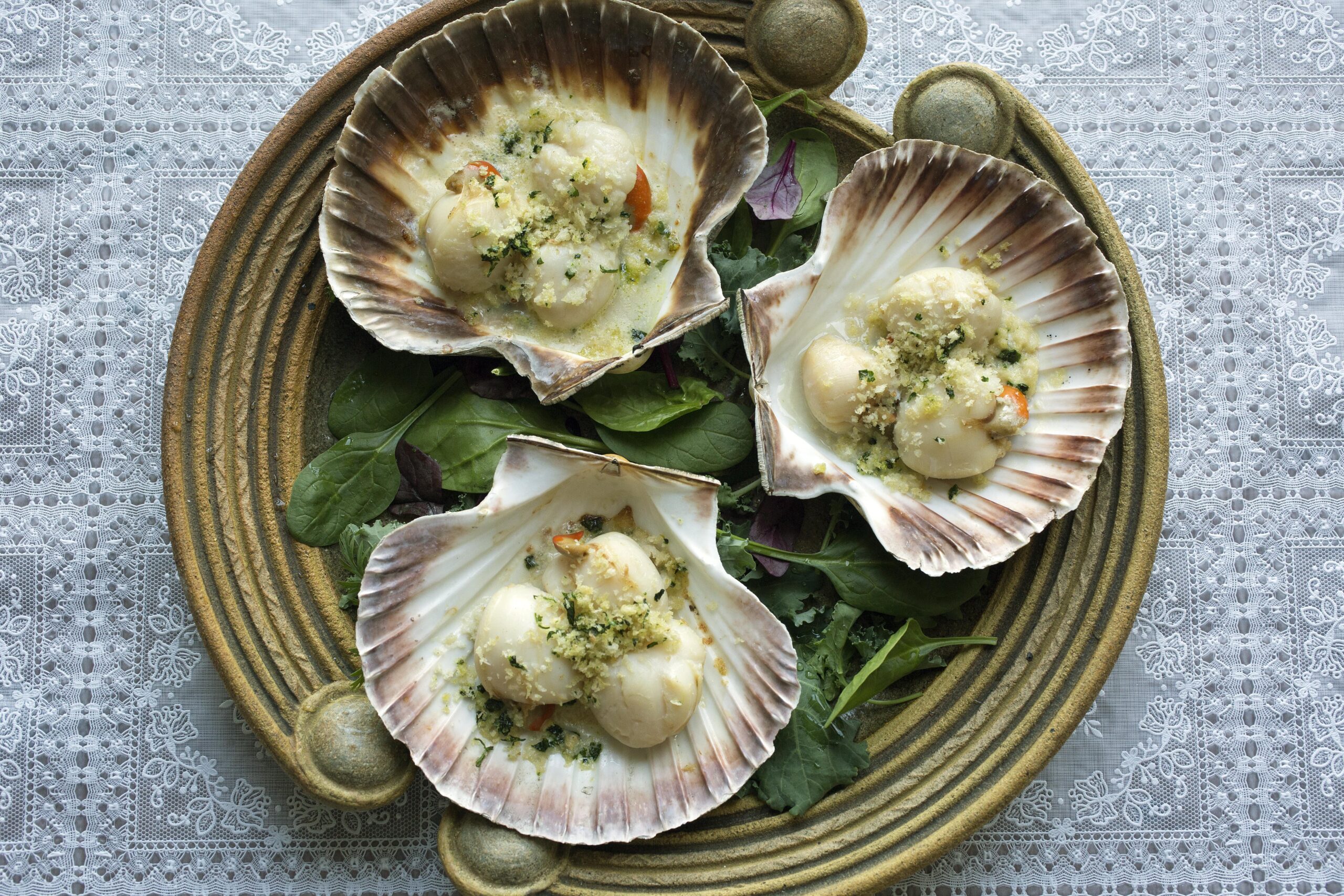 Scallop gratin - Star Seafoods